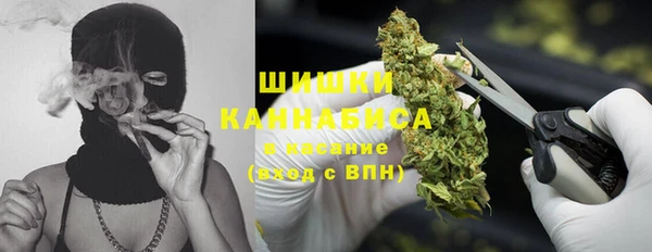 не бодяженный Гусиноозёрск