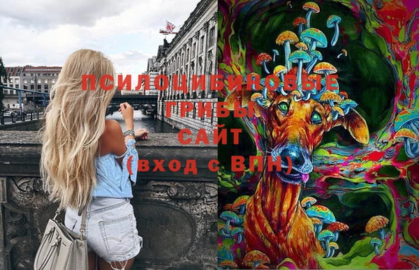 не бодяженный Гусиноозёрск