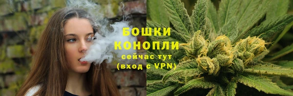не бодяженный Гусиноозёрск