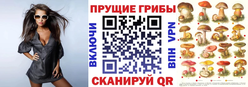 Псилоцибиновые грибы прущие грибы Купить закладки Славянск-на-Кубани